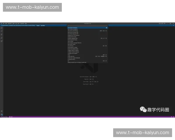 消失的图腾：VisualStudio2009与那个狂奔的编程黄金时代